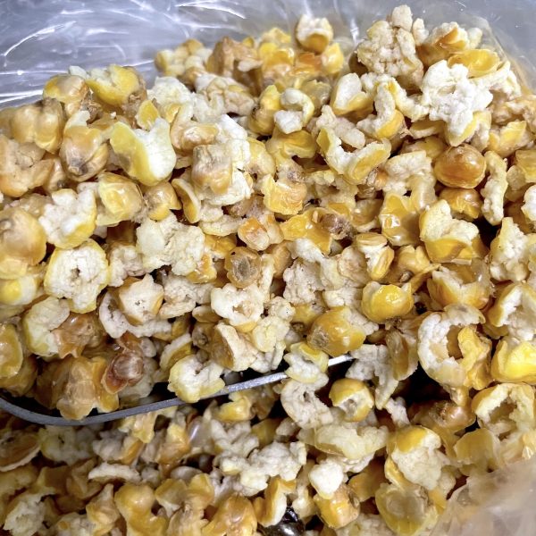ข้าวโพดคั่วน้ำมันงา (ป็อปคอร์นไทยใหญ่) Roasted Waxy corn - Image 4